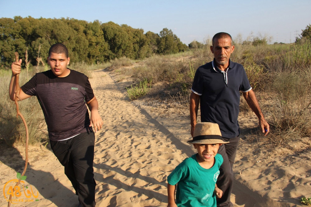 mokhayam picrtyere (103).jpeg